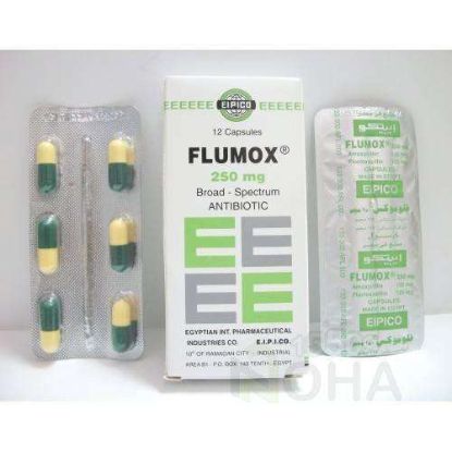 FLUMOX 250 MG CAP 40 LE