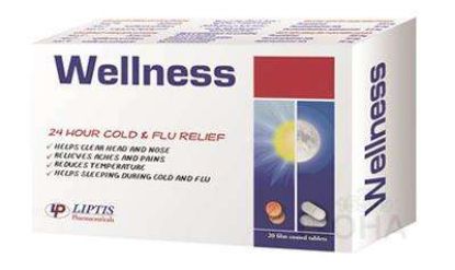 WELLNESS 20 TAB 33 LE