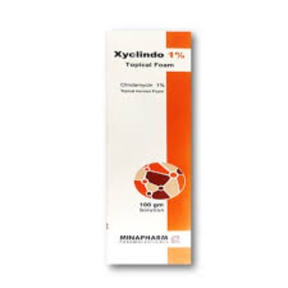 XYCLINDO %1 TOPICAL FOAM 113 LE