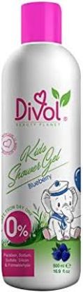 DIVOL KIDS SHOWER GEL BLUEBERRY 300 ML
