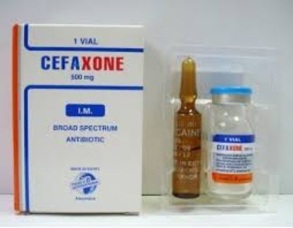 CEFAXONE 1 GM VIAL IM 69 LE
