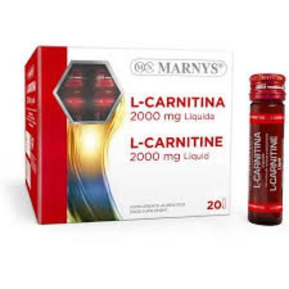 MARNYS L CARNITINE 2000 MG 10 AMP LIQUID