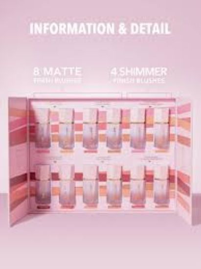 SHEGLAM COLOR BLOOM LIQUID BLUSH (ON POINT)