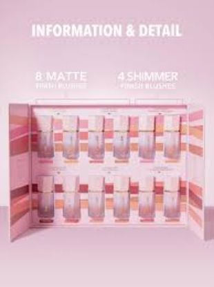 SHEGLAM COLOR BLOOM LIQUID BLUSH (RISKY BUSINESS)