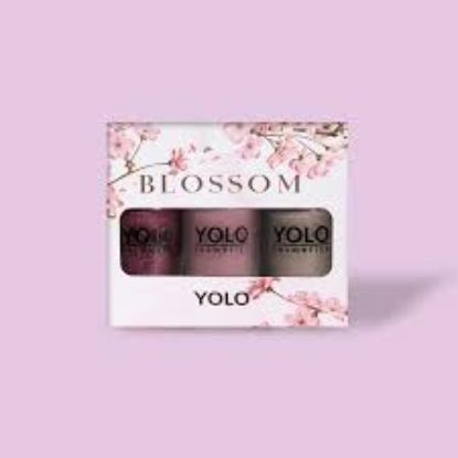 YOLO BUNDLE OFFER 2+1 PCS