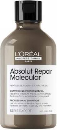 LOREAL PROFESSIONNEL ABSOLUT REPAIR MOLECULAR SHAMPOO 300 ML