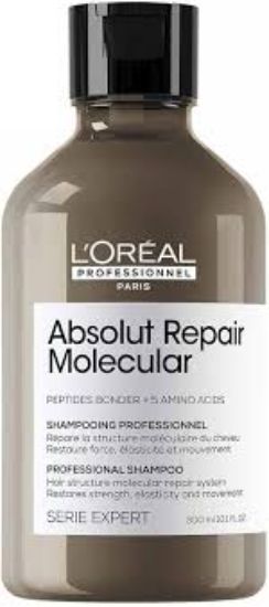LOREAL PROFESSIONNEL ABSOLUT REPAIR MOLECULAR SHAMPOO 300 ML