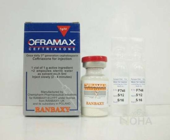 OFRAMAX 1 GM IV VIAL 47.5 LE
