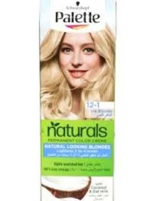 PALETTE NATURAL COLOR 1-12 اشقر ثلجى