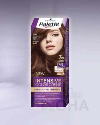 PALETTE COLOR 6-80 بنى مارسالا