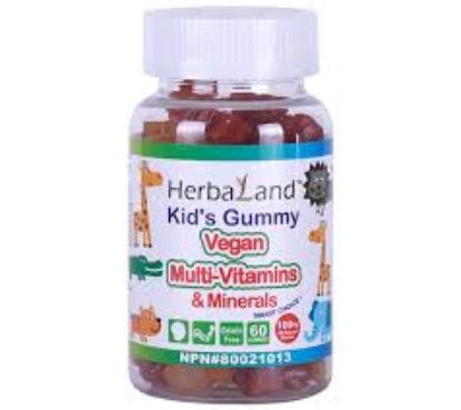 HERBALAND KIDS MULTIVITAMINS 60 GUMMIES