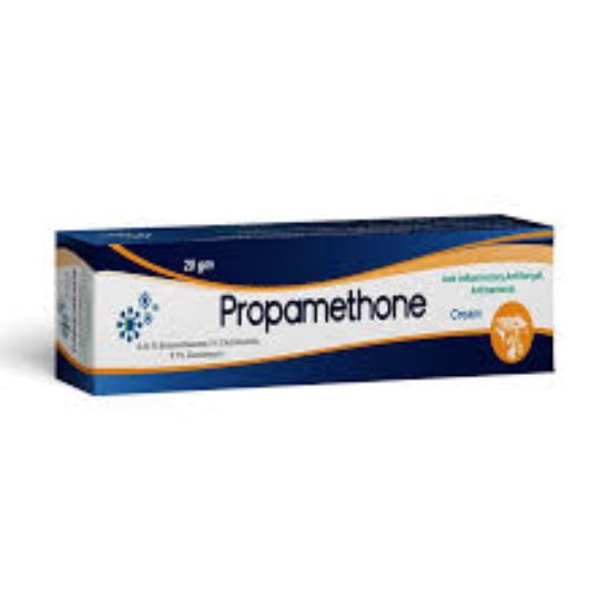PROPAMETHONE CREAM 20 GM 30 LE