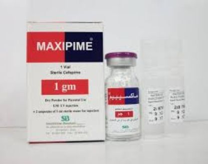 MAXIPIME 1 GM VIAL 108 LE