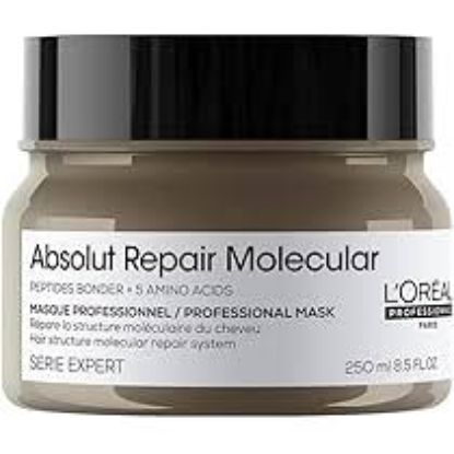 LOREAL PROFESSIONNEL ABSOLUT REPAIR MOLECULAR MASK 250ML