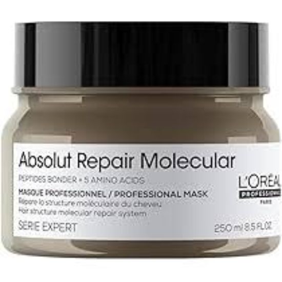 LOREAL PROFESSIONNEL ABSOLUT REPAIR MOLECULAR MASK 250ML