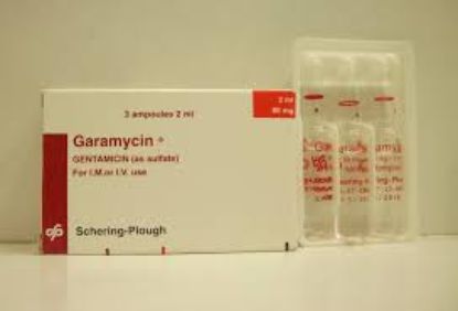 GARAMYCIN 40 MG 6 AMP 22.5 LE