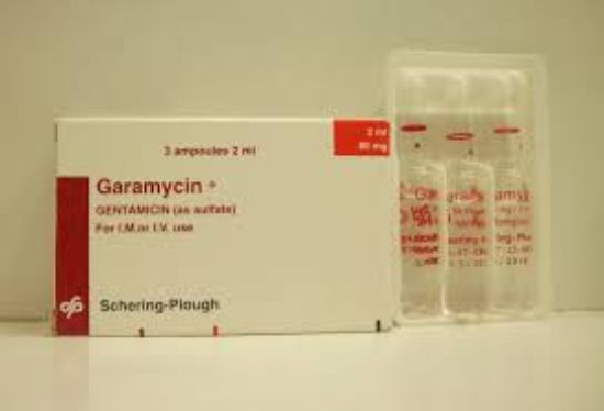 GARAMYCIN 40 MG 6 AMP 22.5 LE