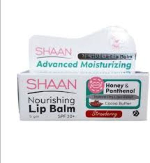 SHAAN LIP BALM 5GM كاكاو