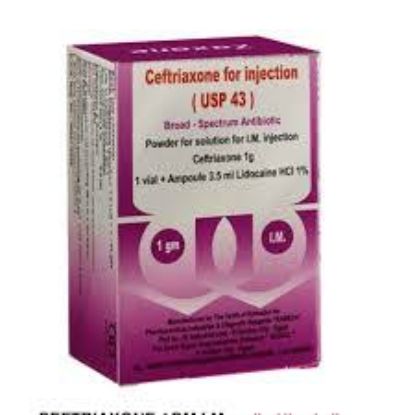 CEFTRIAXONE 1 GM SEDICO VIAL I.V 56 LE
