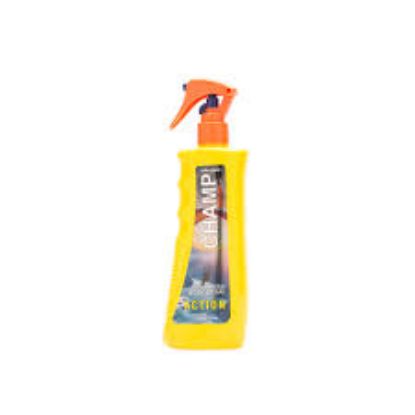 CHAMP ACTION BODY SPRAY FOR MEN 236 ML