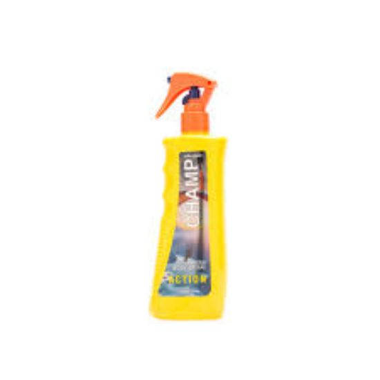 CHAMP ACTION BODY SPRAY FOR MEN 236 ML