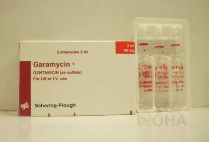 GARAMYCIN 80 MG 3 AMP 60 LE