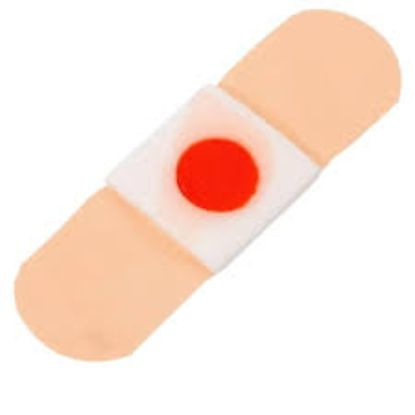 CORN PLASTER HEALTH PLANET بلاستر للكالو 6 قطع