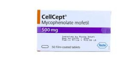 CELLCEPT 500 MG 50 CAP 1460 LE