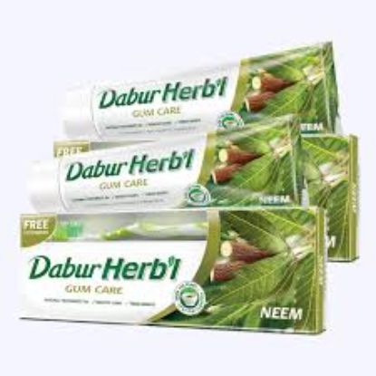 DABUR HERBAL TOOTHPASTE GUM CARE NEEM