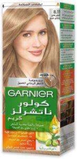 GARNIER COLOR 8.11 OFFER 15% اشقر رمادي عميق
