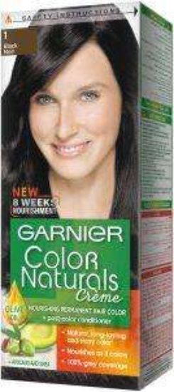 GARNIER COLOR 1 اسود (15%)