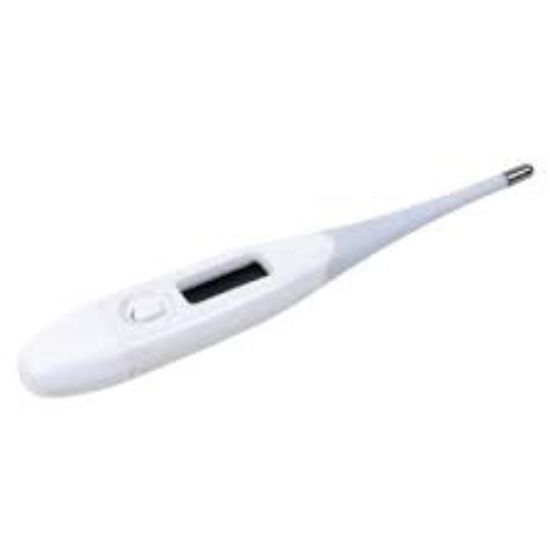 PLANET HEALTH THERMO FLEX THERMOMETER