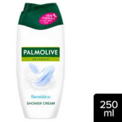PALMOLIVE SHOWER 500 ML SENSITIVE