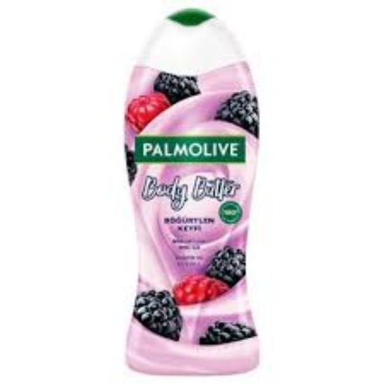 PALMOLIVE SHOWER 500 ML BLACK BERRY