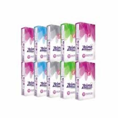 ZEINA 10 TISSUES جيب