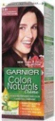 GARNIER COLOR 3.6 بني احمر غامق (20%)