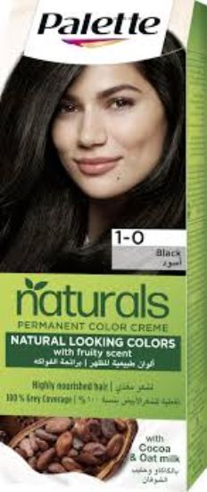 PALETTE NATURAL COLOR 1-0 OFFER 20% أسود