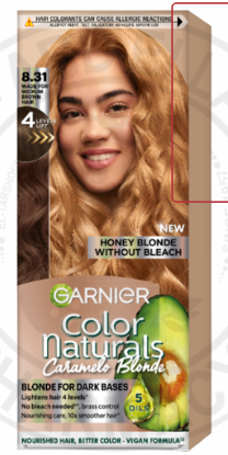 GARNIER COLOR 8.31 اشقر عسلي