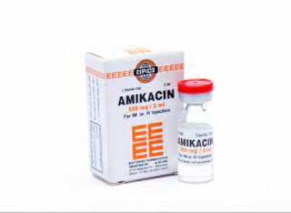 AMIKACIN 500 MG 1VIAL EPICO 34 LE