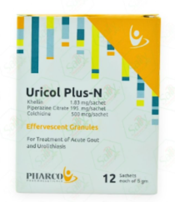 URICOL PLUS -N 12 SACHETS 48 LE