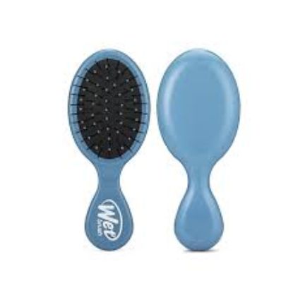 WET BRUSH MINI DETANGLER -TREND COLOR (81716)