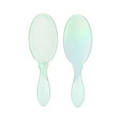 WET BRUSH PRO DETANGLER -TEAL (80283)