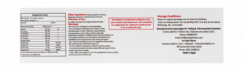 Centravita Ginko Cognitive Functions Support Supplement