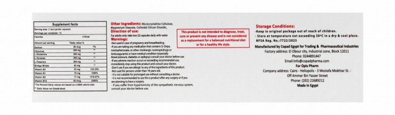 Centravita Ginko Cognitive Functions Support Supplement