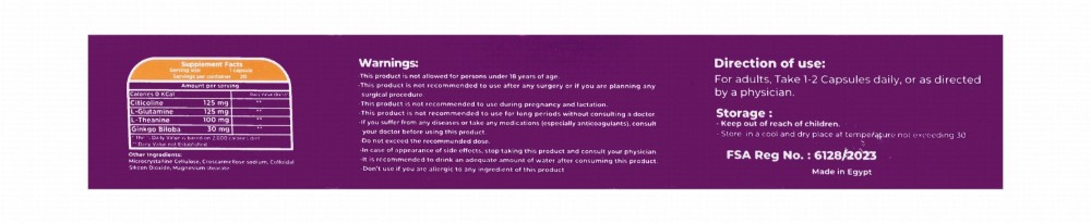 Cervetolka Advance 125mg Citicoline & 125mg L-Glutamine Cognitive Function Support Supplement with L-Theanine & Gingko Biloba Extract