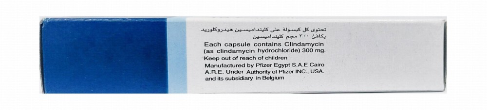 Dalacin C 300mg Clindamycin