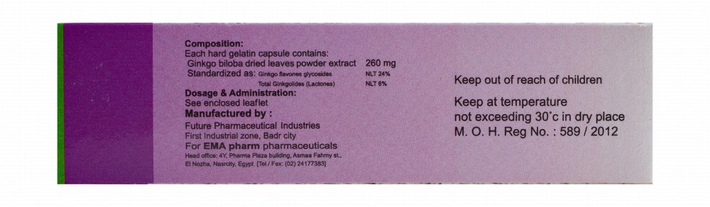 Ginkgo Biloba Supplement