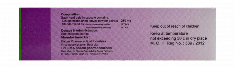 Ginkgo Biloba Supplement