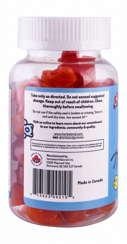 Herbaland Omega-3 Brain Support Gummy Supplements Strawberry & Orange Flavor with DHA & EPA for Kids - GMO free, gluten free