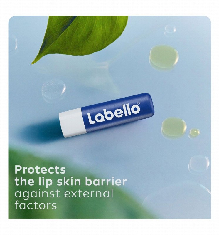 Labello 24H Moisturizing Original Lip Balm with Shea Butter, Natural Oils & Vitamins - mineral oil free